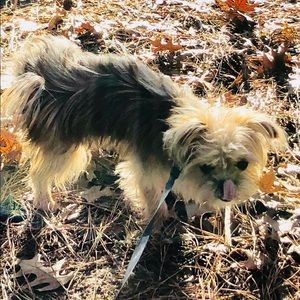 Meet your Posher, Sam